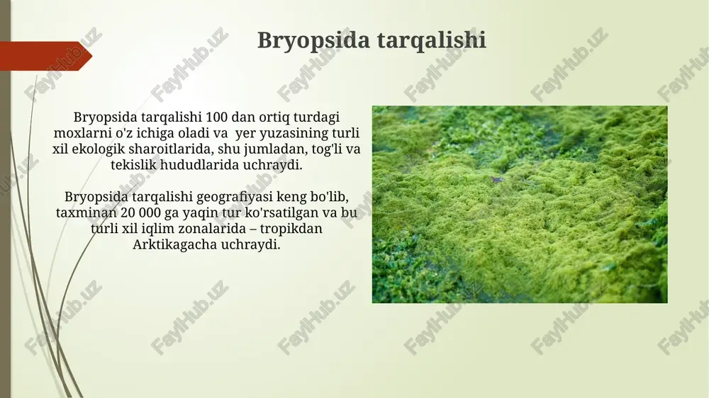 bryopsida sinfi - Page 5