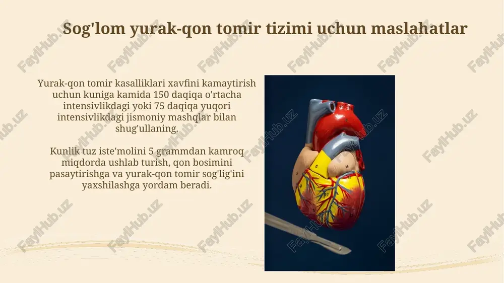 yurak-qon tomirlar tizimi - Page 5