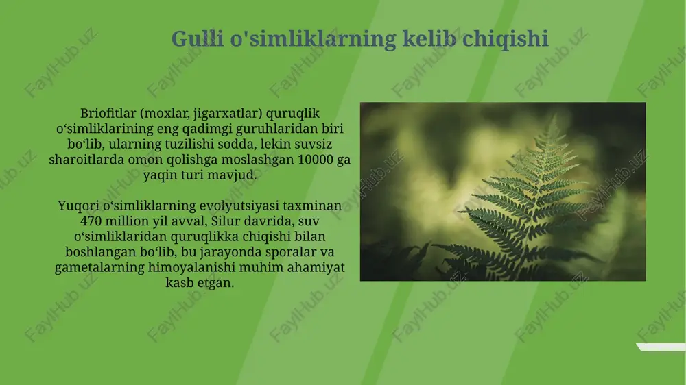 meva va urug'larning rivojlanishi - Page 5