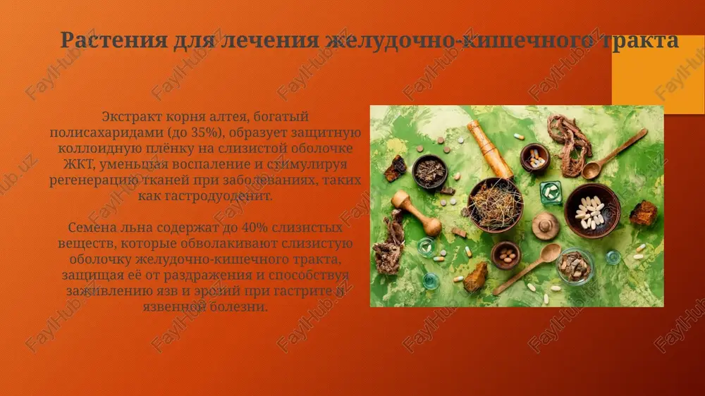 rasteniya s protivovirusnim deystviem - Page 5
