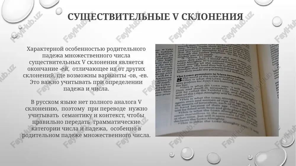 latinskiy yazik, roditelniy, mnojestvenniy chislo - Page 5