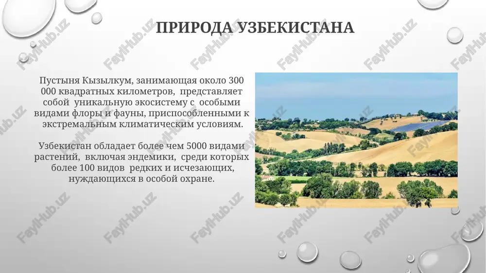 istoriya i kultura uzbekistana - Page 5