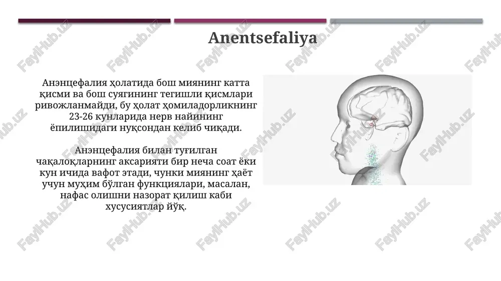 bosh miya va orqa miya tug‘ma rivojlanish nuqsonlari - Page 5