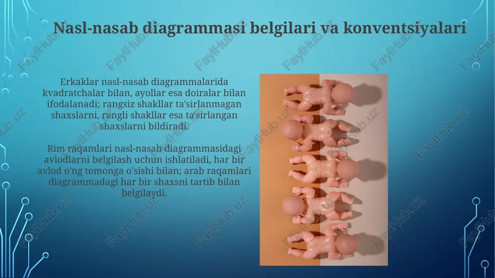 antropogenetika usullari: shajara usuli - Page 5