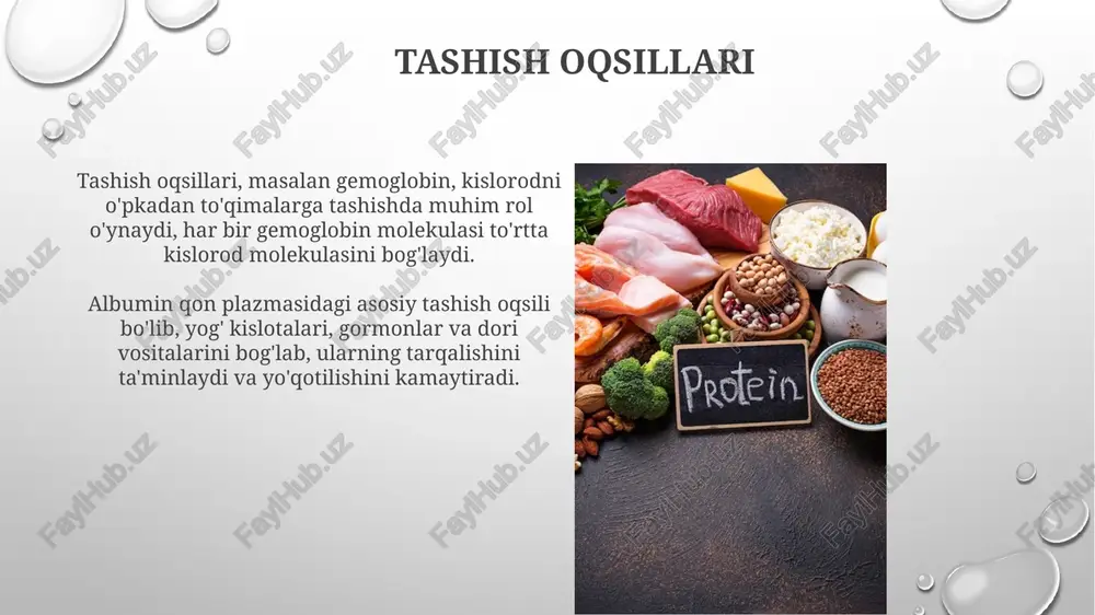 oqsillarni funksiyasi - Page 5