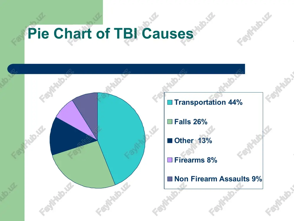 traumatic brain injury - Page 5