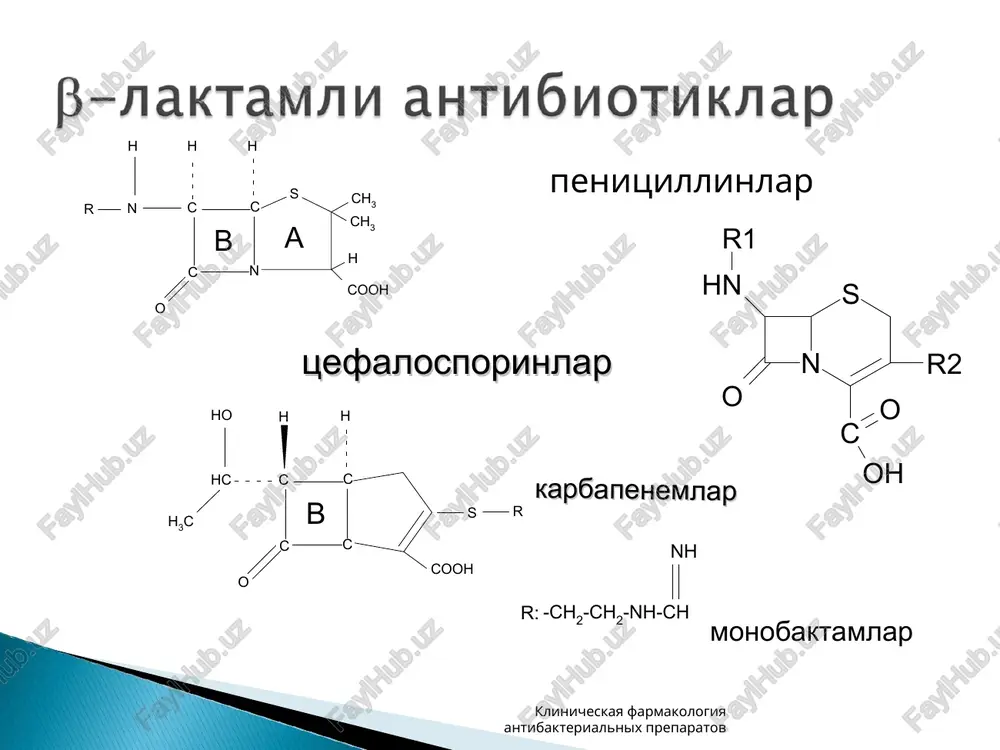 antibakterial (antibiotiklar, yarimsintetik va sintetik) - Page 5