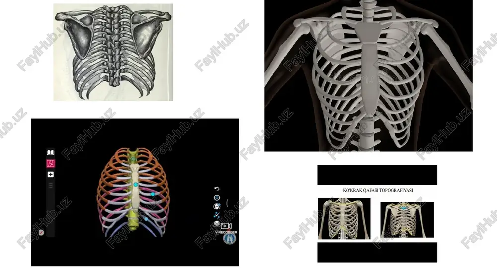 innovatsion tibbiyotda diagnostika usullari va ularning axamiyati - Page 5