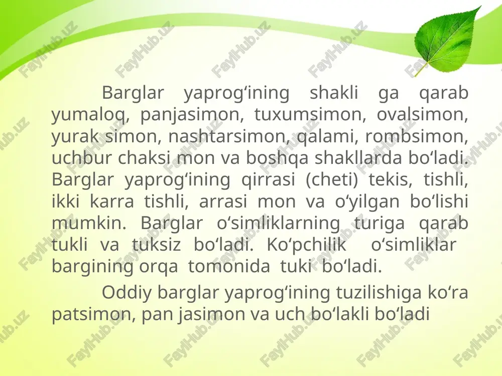 o‘simliklarning barg shaklari - Page 5