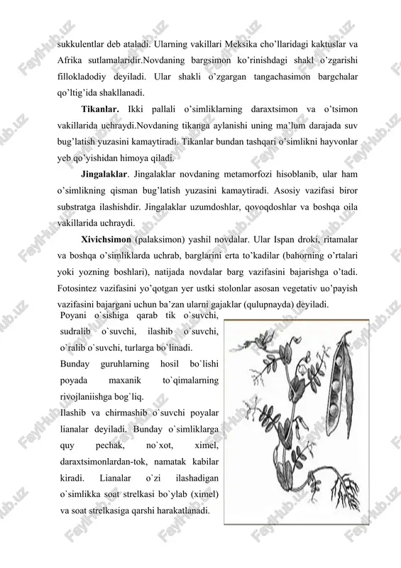 a guli, mevalarini yuzada biriktirib turish uchun hamda ildizdan bargiga, bargdan ildizga boradigan oqimni boshqaradi. shakliga ko`ra yumaloq, yassi, silindirsimon, 3-4 yoki ko`p qirrali bo`ladi. barg-fotosintez gazlar almashuvi transpirasiya (suv bug`lantirish) himoya, ko`payish, zahira moddalar to`plash vazifalarini bajaradi. barg bandida birgina yaproq joylashgan bo`lsa, oddiy barg, bir necha yaproq joylashsa, murakkab barg deyiladi. barg yaprog`ining chetki qismi tishsimon, silliq, qo`sh tishsimon, qo`sh arrasimon, to`garaksimon, o`ymasimon bo`ladi. novda metamorfozlashgan turlariga piyozbosh, tuganak, tikanlar kiradi. barg metamorfoziga tikan, gajjak, jingalaklar, hashoratxo`r o`simliklarda hashorat tutuvchi moslamalar va tangachalar kiradi. foydalanilgan adabiyotlar ro‘yxati 1. buro`gin. v. a. jongurazov. f. x. botanika “o`qituvchi” t.: 1977. 2. dalakyan v, asanov r, kim l - korma uzbekistana-t.mexnat.1986 3. kursanov. v. a. kamarniskiy n. a va bosh.- botanika “o`qituvchi” 1977. i ii tom. 4. mirzayev o`, xudoyberganov –yem-xashak yetishtirish, andijon, 2003 5. prakticheskoe rukovodstvo po texnologii uluchsheniya i ispolzovaniya prirodnix kormovo`x ugodiy aridno`x rayonov strano` m.v.o. agrpromizdat 1988 …