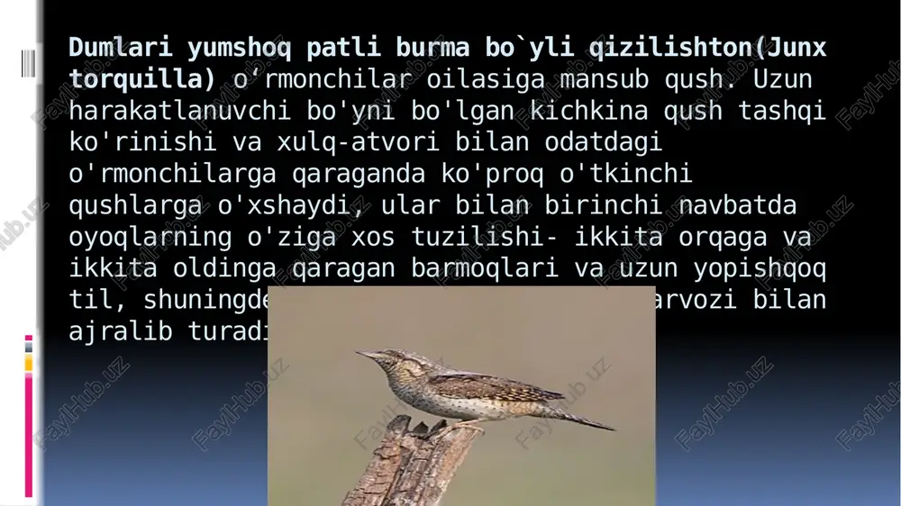 hasharotxo`rqushlar - Page 5