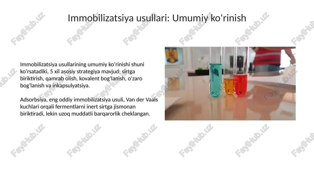 immobilizatsiyalangan fermentlar - Page 5