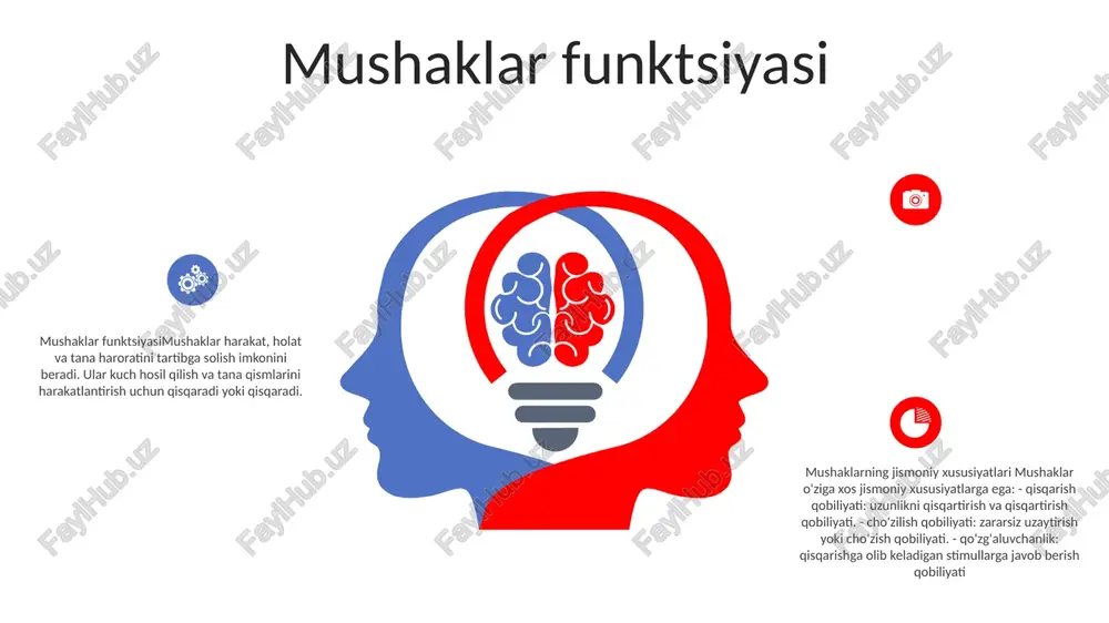 mushaklar tizimi - Page 5