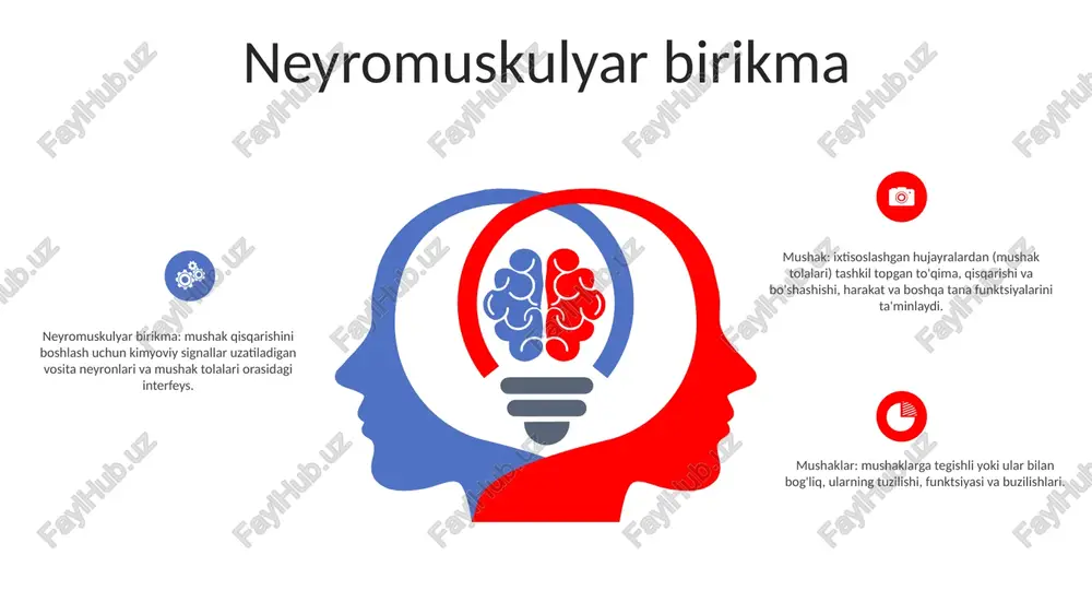 organlari mushaklar ichida joylashgan sezgir retseptorlar bo'lib, ular mos ravishda mushaklar uzunligi va kuchlanishi haqida ma'lumot beradi. ushbu ma'lumot pozitsiyani saqlash, muvozanat va harakatlarni muvofiqlashtirish uchun zarurdir. mushaklar: mushak to'qimasi yoki uning funktsiyalariga ishora qiladi. masalan, "mushak kuchi" mushaklarning kuch va quvvat hosil qilish qobiliyatini anglatadi. mushaklar kuchi mushaklarning chidamliligi: mushaklarning uzoq vaqt davomida takroriy qisqarishni davom ettirish qobiliyati. bu yuqori takrorlash va past qarshilikni o'z ichiga olgan mashg'ulotlar orqali yaxshilanadi. mushak kuchi: mushakning qarshilikka qarshi kuch hosil qilish qobiliyati. bunga mushaklar hajmi, tolalar turi va asab faollashuvi kabi omillar ta'sir qiladi. mushak kuchi: mushakning tezda kuch hosil qilish qobiliyati. bu mushaklar hajmi, quvvat chiqishi va muvofiqlashtirish kabi omillar bilan belgilanadi. mushaklarning chidamliligi contents title mushaklar kuchi: mushaklar yoki mushaklar guruhi qarshilikka ko'rsatishi mumkin bo'lgan maksimal kuch. bu siz ko'tara oladigan yoki harakat qiladigan og'irlik yoki kuch miqdorini aniqlaydi. mushaklarning chidamliligi: mushaklar yoki mushaklar guruhining takroriy kuch ishlatish yoki uzoq …