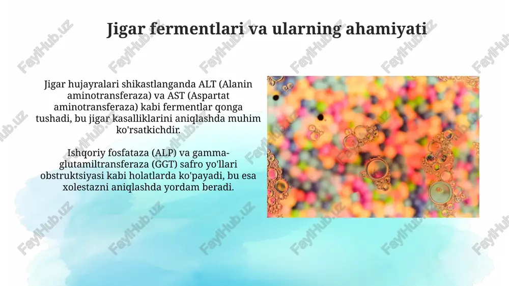 orgonaspetsefikfermentlar - Page 5