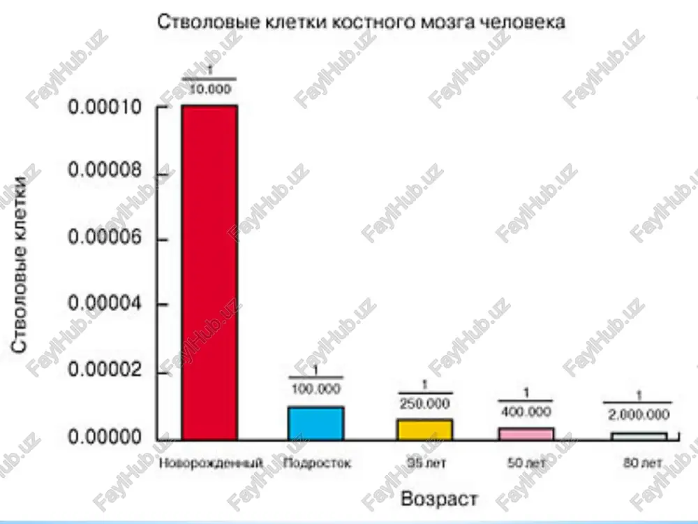 alari; va monotsitlar prekursorlari (cfu -m) polipotent (pluripotent) ildiz hujayrasi yo'nalishlardan birida farqlanishi mumkin: - miyeloid ildiz hujayrasi (cfu-gamms); - limfoid ildiz hujayrasi miyeloid ildiz hujayrasi (cfu-gammlar) farqlanishi mumkin: 1. the monopotent majburiy hujayralar - eritrotsitlar prekursorlari (boe-e); megakaryotsitlar (cfu-mgcc); 2. granulotsitlar (cfu-gm) ning monopotent prekursorlariga (bazofillar, neytrofillar, eozinofillar) (cfu-g) farqlanadigan unipotent cheklangan hujayralari; va monotsitlar prekursorlari (cfu-m) gematopoez ko'plab mahalliy va tizimli tartibga soluvchi omillar tomonidan boshqariladi: - ildiz hujayralarining omon qolishi va ko'payishi - - cheklangan hujayralarning differentsiatsiyasi - kattalar qon hujayralarining funktsional faoliyati gematopoez ko'plab mahalliy va tizimli tartibga soluvchi omillar tomonidan boshqariladi: - ildiz hujayralarining omon qolishi va ko'payishi - - cheklangan hujayralarning differentsiatsiyasi - kattalar qon hujayralarining funktsional faoliyati gematopoezni tartibga solishda sitokinlar etakchi rol o'ynaydi – peptid yoki glikoprotein tabiatining signal molekulalari (100 dan ortiq turlari) mm 6 dan 60 cd gacha, stimulyatsiya qilingan qon va to'qima hujayralari tomonidan ishlab chiqariladi; gematopoezni, immun va …