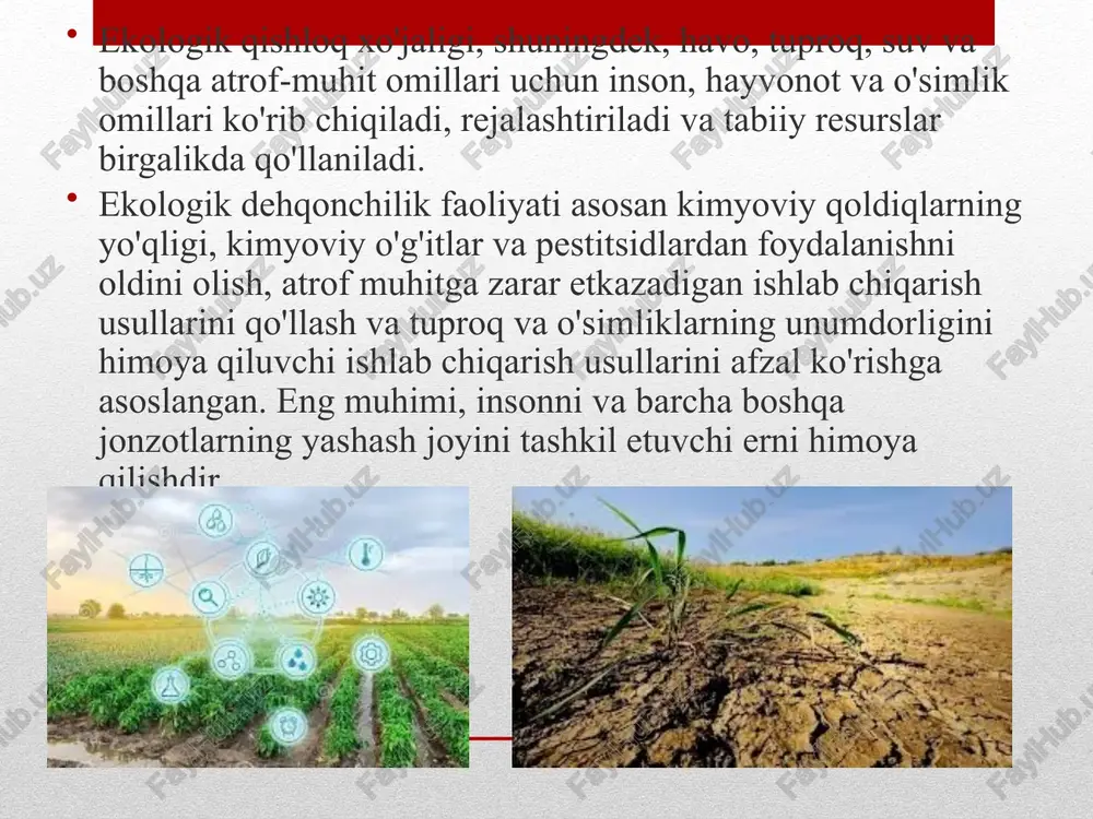 ekologik to'zamahsulot yetishtirish - Page 5