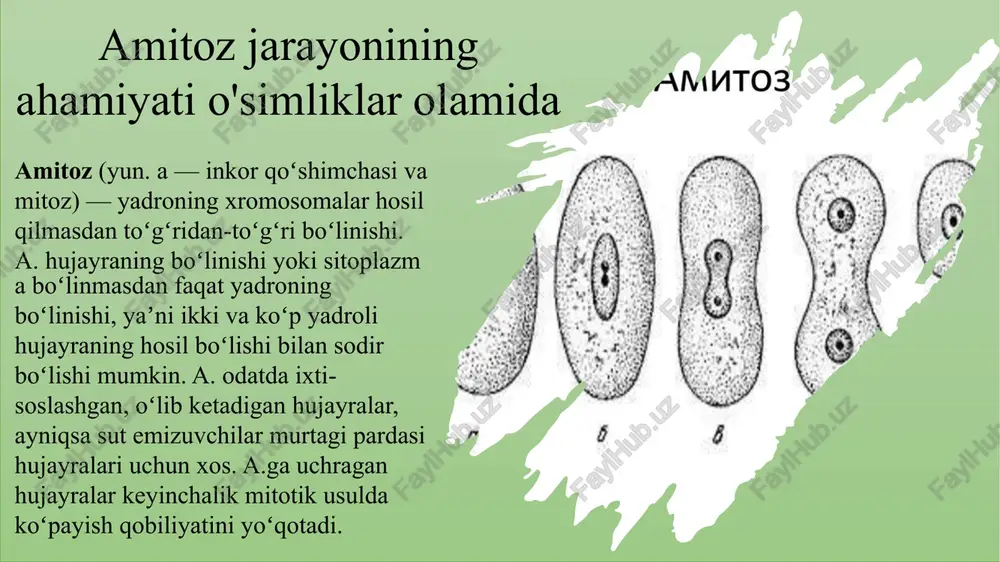 ularning barqaror o'sishini va rivojlanishini ta'minlaydi. meyoz o'simliklarning jinsiy ko'payishida va genetik xilma-xillikni ta'minlashda bevosita ishtirok etadi. bu jarayon orqali hosil bo'lgan gametalar (tuxum va spermatozoidlar) birlashib yangi avlodni yaratadi. meyoz o'simliklar uchun ekologik sharoitlarga moslashish, yangi turlar va navlar yaratish imkonini beradigan genetik xilma-xillikni oshiradi. image1.jpg image2.jpg image3.jpg image4.png image5.jpg image6.png image7.png image8.png image9.jfif image10.png image11.jpeg image12.jpeg image13.jpeg image14.jfif image15.png image16.jpg /docprops/thumbnail.jpeg