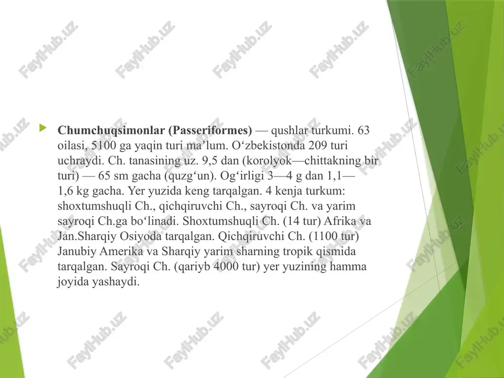 qushlar sinfi - Page 5