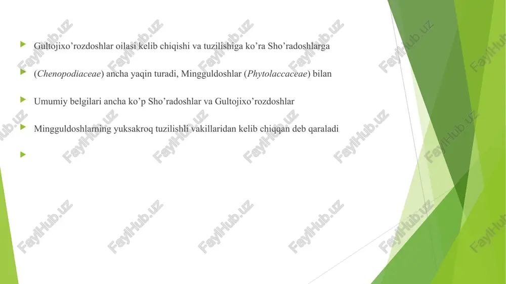 qizilcha turkumi - Page 5