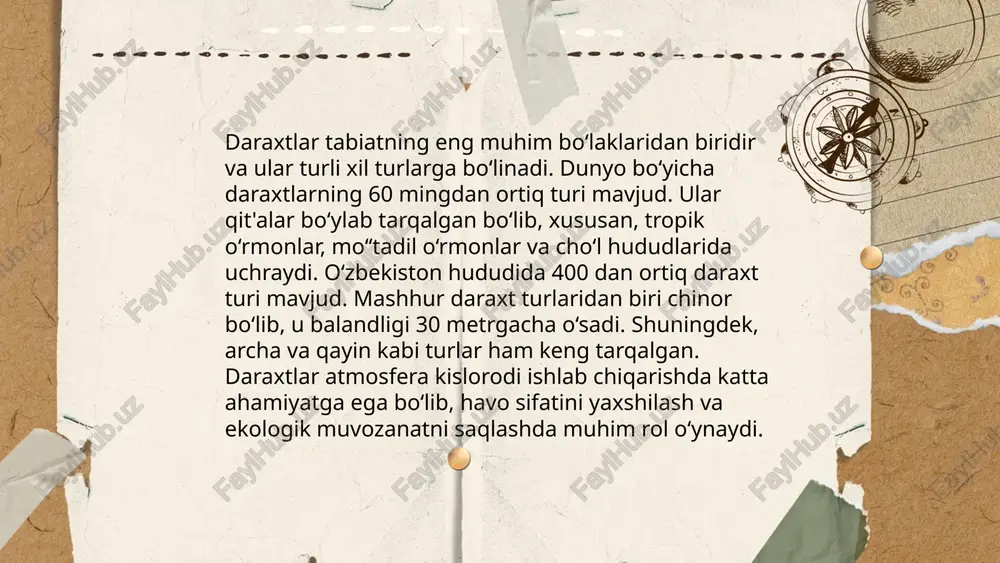 oʻrmon oʻsimliklari va ularning turlari - Page 5
