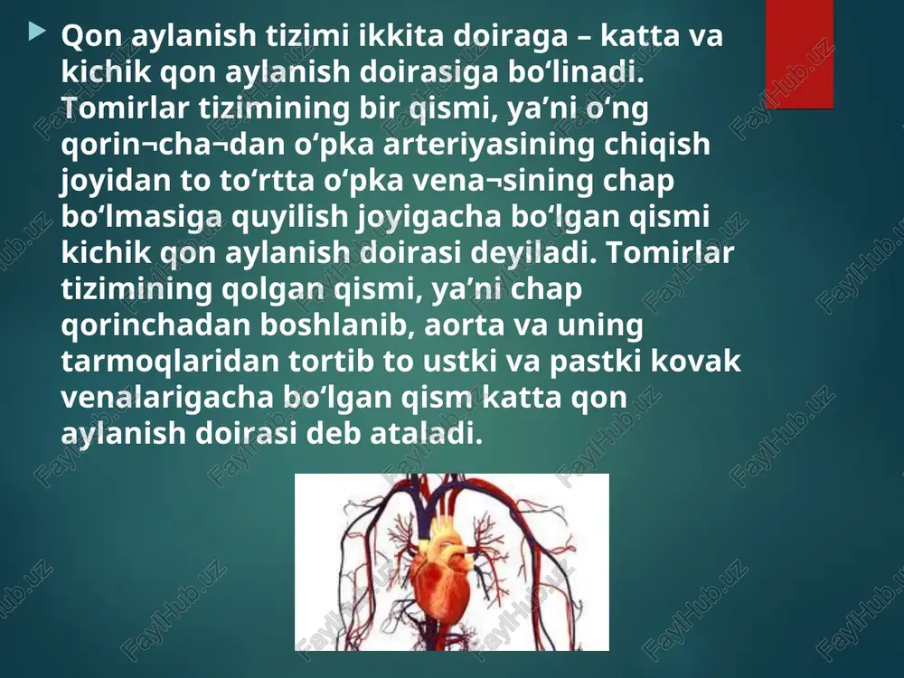 yurak qon-tomir a’zolari kasalliklari hamshiralik ishi - Page 5