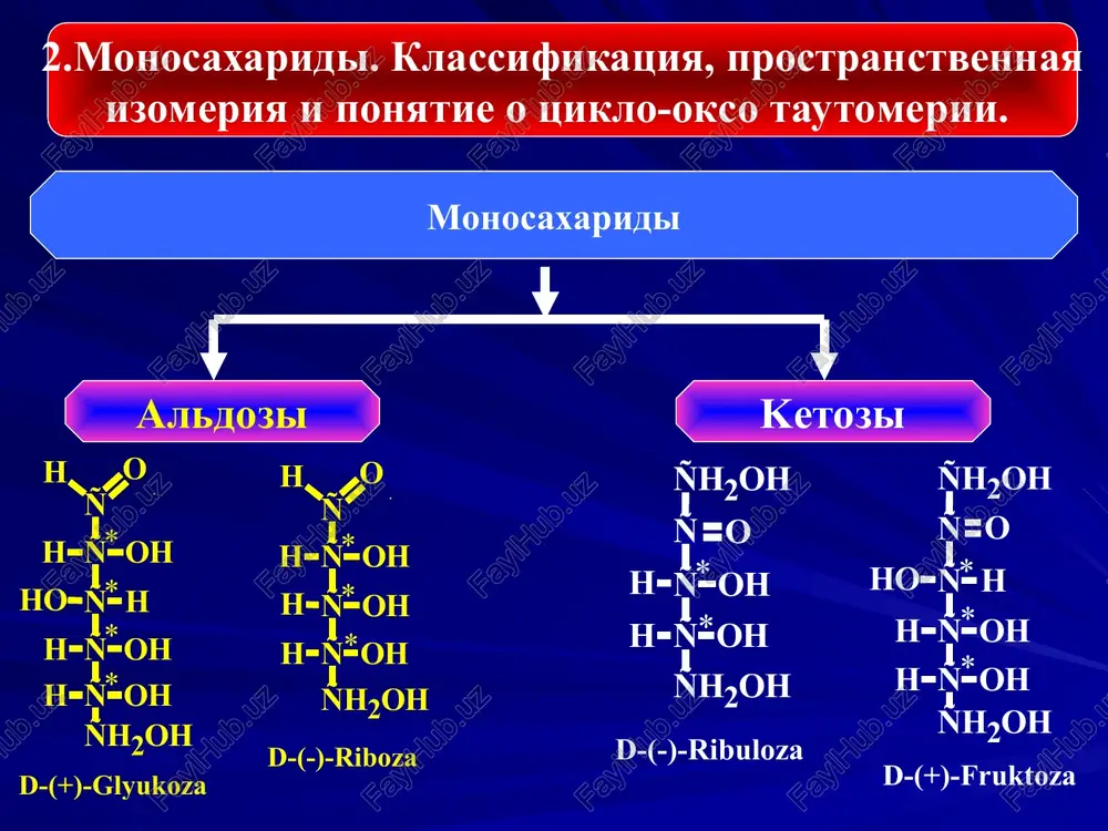 uglevodi i ix biologicheskaya rol - Page 5