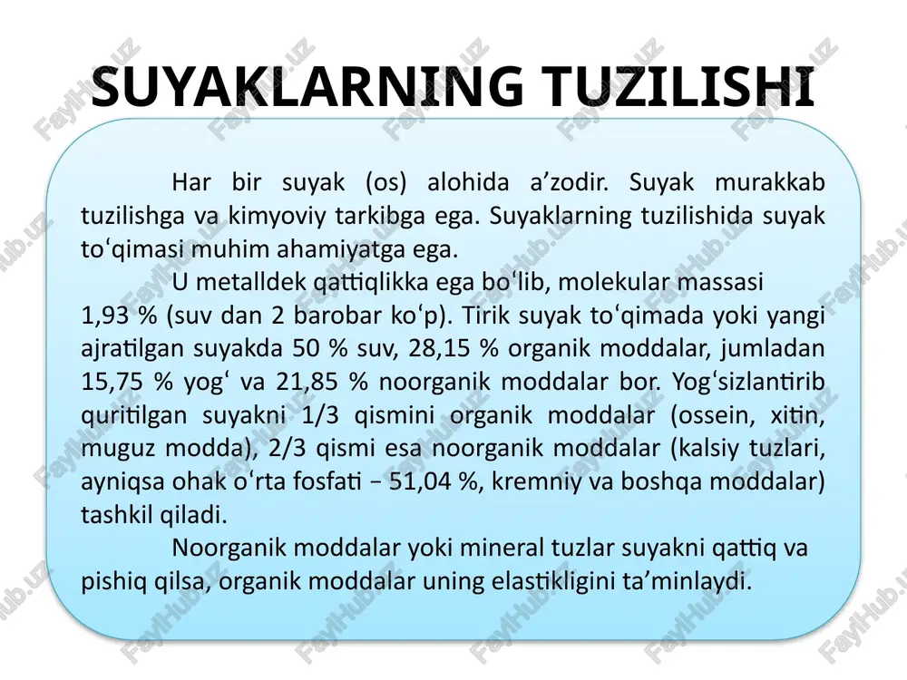 ng alohida teshikchalaridan o'tib boradigan tolachalar vositasida suyaklar ustiga mustahkam yopishib turadi. periost ikki qavatdan, ya'ni tashqi qavat — tolali fibroz to'qimadan, ichki qavat—nerv va qon tomirlarga boy bo'lgan suyak hosil qiladigan qismdan iborat. qon tomirlari suyaklarga alohida oziq teshiklar orqali boradi. periostning ichki qavati suyaklarni eniga o'stiradi. suyaklar­ning bo'g'im hosil qiladigan sathi bo'g'im tog'aylari bi­lan qoplangan (bo'g'imlar haqidagi bobga qarang). periostenum suyaklarning rivojlanishi odam embrionida suyak to‘qimasi boshqa to‘qimalarga nisbatan kechroq, ona qornidagi hayotining 6–8 haftalarida mezenximadan paydo bo‘ladi. hamma suyaklar taroqqiyot davrida bir xilda rivojlanmaydi, ularning ba’zilari (kallaning qopqoq va yuz qismi suyaklari, o‘mrov) biriktiruvchi to‘qimadan taroqqiy etadi yoki ikki bosqichni (parda, suyak) o‘tadi. bular birlamchi suyaklar deb ataladi. boshqa suyaklar uch bosqichni (parda, tog‘ay, suyak) o‘tib ikkilamchi suyaklar deyiladi. suyaklar tasnifi naysimon suyaklar g`ovak suyaklar yassi suyaklar aralash suyaklar 1 - naysimon suyaklar uzun naysimon suyaklart kalta naysimon suyaklar yelka, bilak, son va boldir suyaklari, ya'ni qo'1-oyoq …