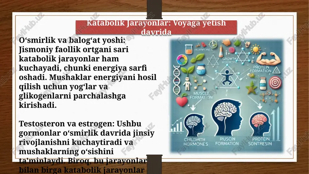 biofizikafanidan mustaqilish - Page 5