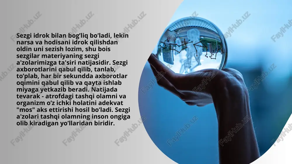 ir analizatorga ta'siri bilan boshqa analizatorga xos sezgining paydo bo’lishidir. ko’rish, eshitish sinesteziyasi ko’proq uchraydi. sinesteziyalar har bir shaxs uchun doimiy bo’ladi. masalan, kompozitorlardan skrebin, a.f.lest, n.rimskiy korsakovlarda "rangdor eshitish" qobiliyati bo’lgan. demak, sinesteziya ikki sezgining bir sezgi bo’lib qo’shilishidir. "masalan, "shirin so’z", "bag’ri tosh". image1.jpeg image2.jpeg image3.jpeg image4.jpeg image5.png image6.svg image7.jpeg image8.jpeg image9.png image10.jpeg image11.png image12.jpeg image13.jpeg image14.jpeg image15.jpeg image16.jpeg image17.jpeg image18.jpeg image19.png image20.svg image21.png image22.svg image23.png image24.svg image25.png image26.svg image27.jpeg image28.png image29.svg image30.jpeg image31.jpeg image32.jpeg image33.jpeg image34.png image35.png /docprops/thumbnail.jpeg