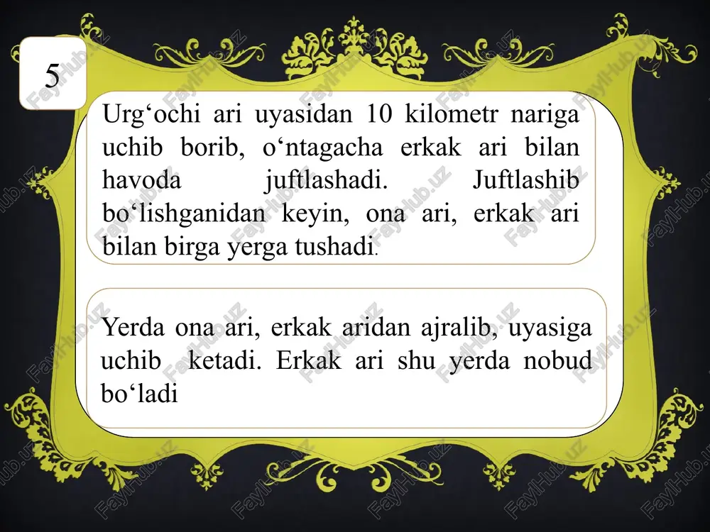 arilar bilan yetilayotgan lichinkalar o‘rtasida o‘zaro aloqa bo‘lib, ona ari lichinkalarni boquvchi ari lar soniga qarab tuxum qo‘yadi. 32 oilada boquvchi yosh arilar soni ko‘payishi bilan, ona arining tuxum qo‘yishi ham ortib boradi. ikkinchi davrda oilada qari arilarning o‘lib borishi uncha ko‘p bo‘lmay, o‘rta hisobda ona arining 56-66 kun avval qo‘ygan tuxumlari soniga tenglashadi (21 kun - ishchi arini yetishtirish kuni; arilarning yozda yashash kuni - 35-45 kun; jami 21 + 35 = 56 kun; 21 + 45 = 66 kun). 33 ari oilasining ikkinchi davrda rivojlanishi, o‘sish tezligi oilani tashkil qiluvchi arilarning sifatiga ham bog‘liq bo‘lib, qishda muvaffaqiyatsiz qishlab chiqqan ari oilasining rivojlanishi sutkasiga 3-5 % dan oshmaydi, yaxshi qishlab chiqqan kuchli ari oilasiniki esa 10-14 % ga yetadi. ikkinchi davrning necha kun davom etishi ari oilasining o‘sish kuchi va rivojlanishiga bog‘liq bo‘lib, oila qancha kuchsiz bo‘l sa, u shuncha uzoq rivojlanadi va, aksincha. 34 uchinchi davr. ari oilasida …