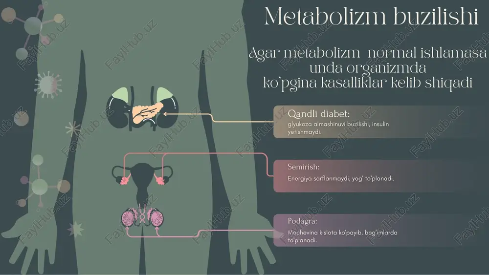 metabolizm haqida umumiy tushuncha - Page 5