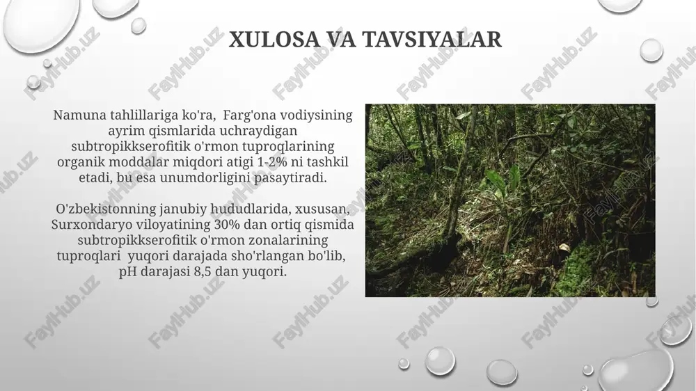 subtropik kserofit-oʻrmon oblast tuproqlar - Page 5