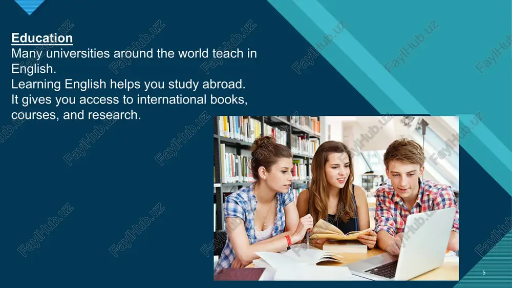 why are you learning english? - Page 5