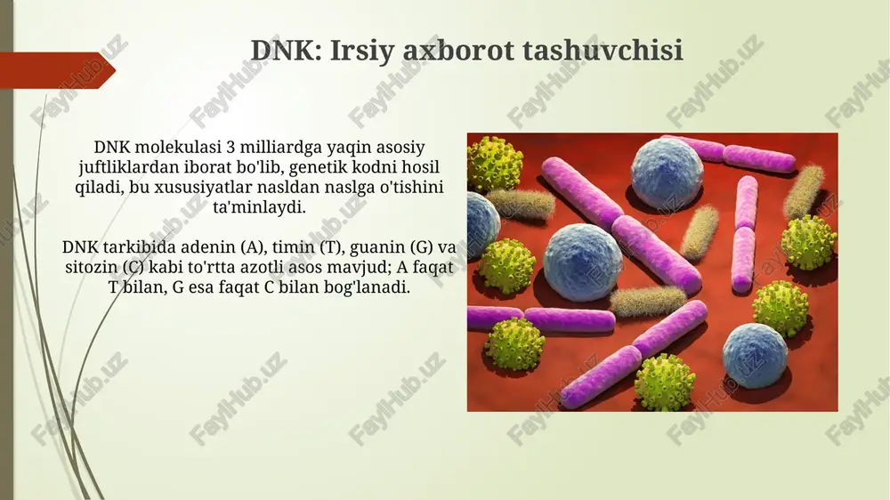 hujayra: irsiyatning moddiy asosi - Page 5