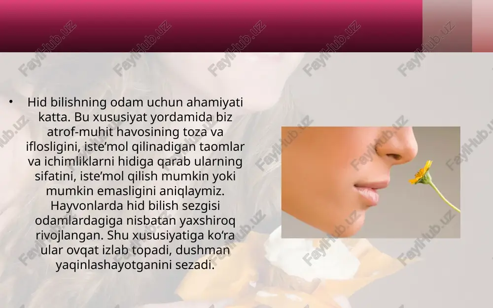 hid bilish psixofiziologiyasi - Page 5