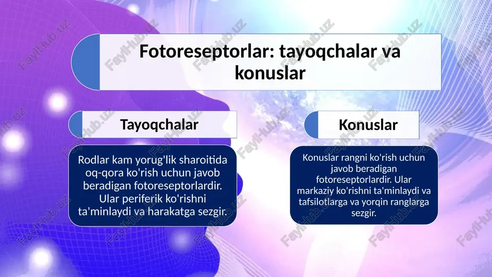 ko`rish psixofiziologiyasi - Page 5
