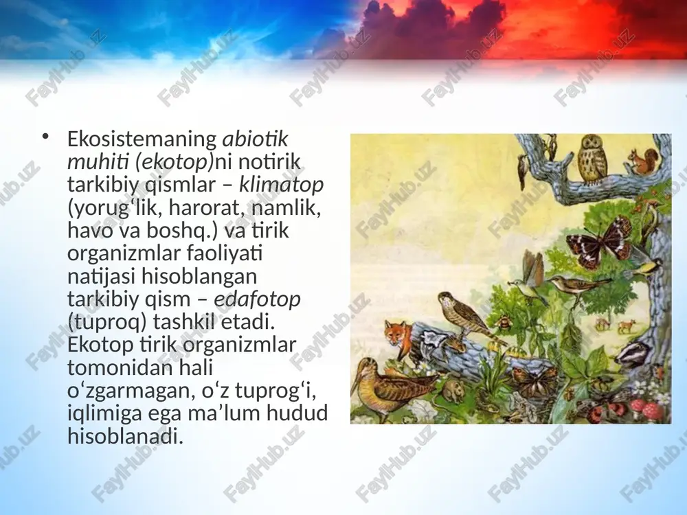 ekosistemalarning tarkibiy qismlari - Page 5