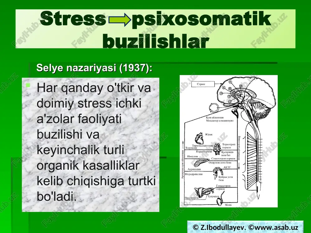 psixosomatiktibbiyot:psixosomatik buzilishlar - Page 5