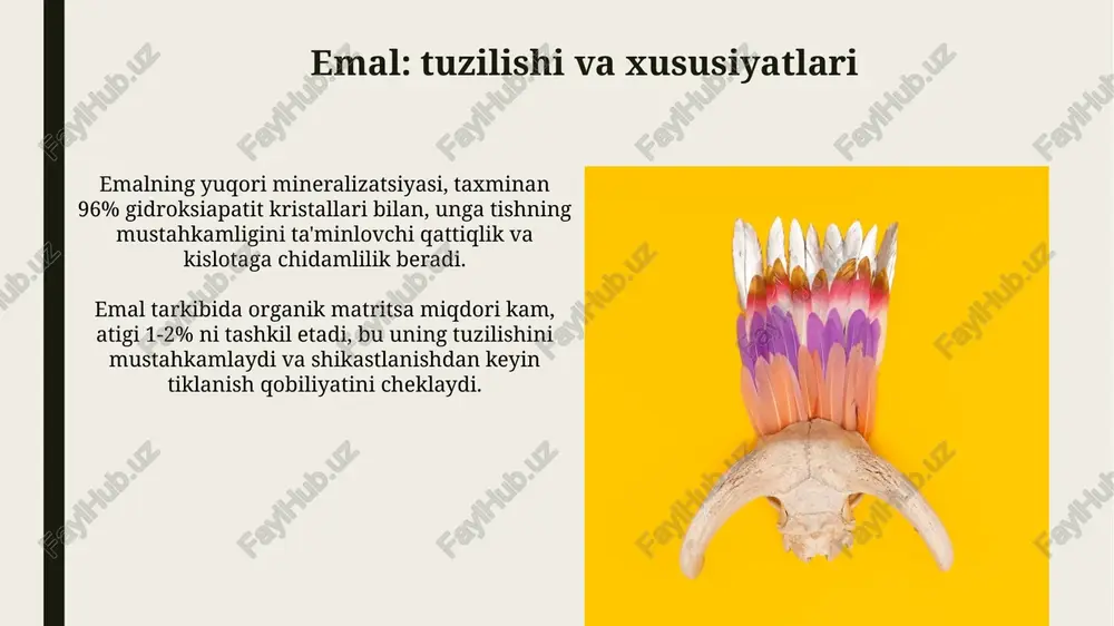 tishning anatomiya va gistalogiyasi - Page 5