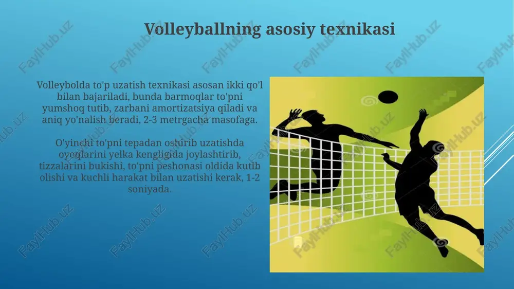 volleybol sport turi - Page 5