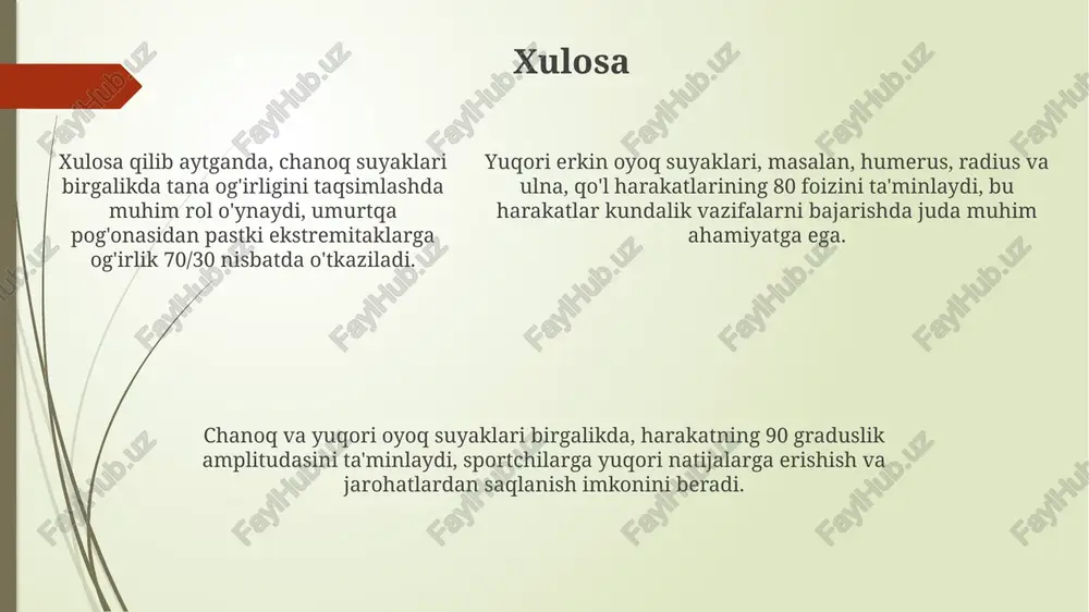 chanoq suyaklari anatomiyasi - Page 5
