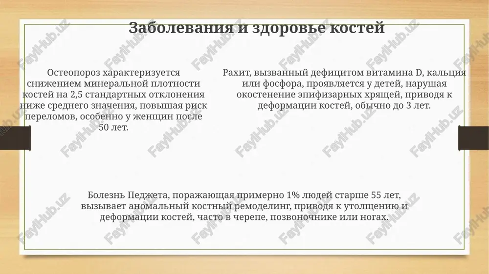 prezentatsiya - Page 5