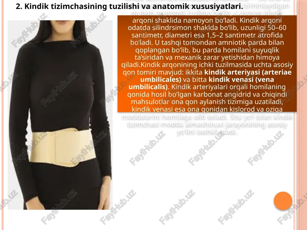 kindiktizimchasining rivojlanish bosqichlari - Page 5