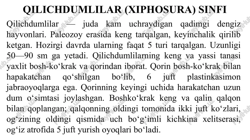 halqum bo‘limi muskulli so’ruvchi keng oshqozonni hosil qiladi. oshqozon suyuq oziqni so’rib olish uchun xizmat qiladi. oldingi ichakka bir juft so’lak bezlari yo’li ochiladi. bu bezlar va jigar suyuqligi oqsil moddalarni parchalash xususiyatiga ega. o’rgimchaksimonlar tutgan o‘ljasini o‘ldirib, uning tanasiga so’lak bezi suyuqligini to’kadi. suyuqlik ta’sirida o‘ljasining ichki to’qimalari parchalanib, suyuq holga keladi. shundan so’ng ular suyuq oziqni so‘rib oladi. shunday qilib, o‘rgimchaklarning ozig‘i ichakdan tashqarida hazm bo‘ladi. o‘rta ichakning oldingi qismi uzun yon o‘simtalarni hosil qiladi. bu o‘simtalar ichak hajmini va uning so‘rish yuzasini kengaytiradi. ichak bo‘shlig‘iga bir juft hazm qilish bezi — jigar yo’li ochiladi. jigar hazm qilish fermentlari ishlab chiqarish va oziqni so‘rish vazifasini bajaradi. bundan tashqari jigar hujayralarida oziq ham hazm bo‘ladi. ko‘pchilik o‘rgimchaksimonlar yirtqich ozilanadi. lekin ular orasida umurtqali hayvonlar, ba’zan hasharotlarning qoni va tana suyuqligini so‘ruvchi parazitlar, o‘simlik shirasi bilan oziqlanadigan zararkunandalari va chiriyotgan organik qoldiqlarni iste’mol qiluvchi saprofit turlari ham ko‘p uchraydi. nafas …
