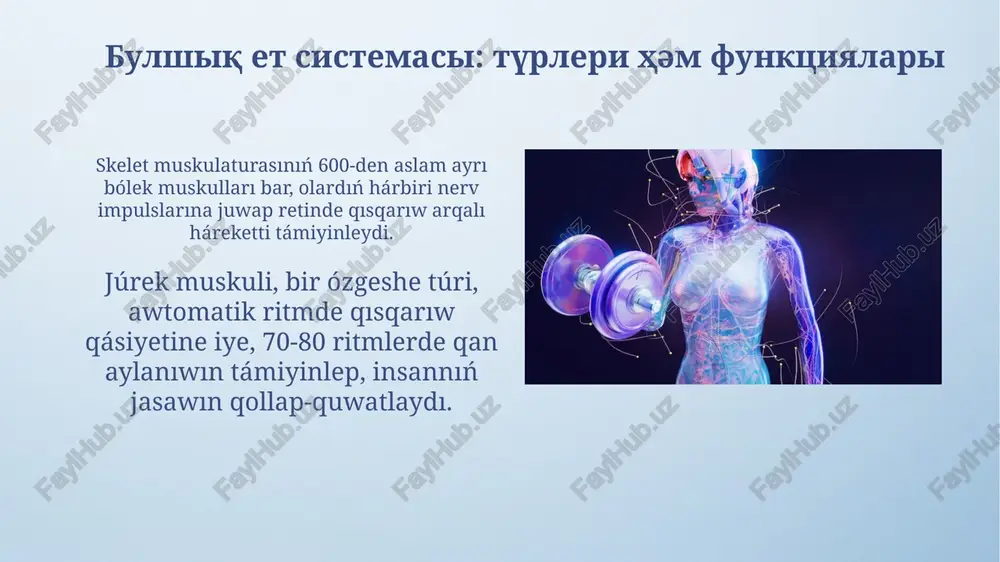 insan denesi dúzilisi hám motorikasi - Page 5