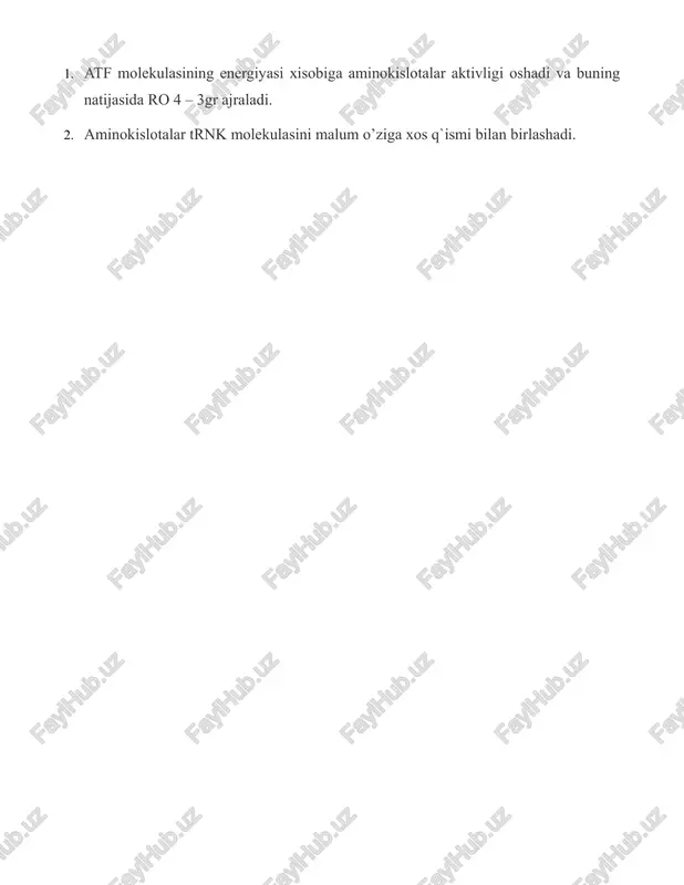 oqsil biosintezi - Page 5