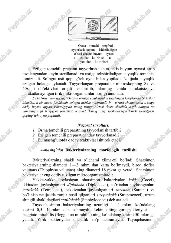 b qo’yiladi. tozalangan qoplag’ich oyna o’ng qo’lga olinib sterillanadi, ya`ni sirtidagi mikroblarni yo’qotish uchun spirt lampa alangasi ustidan 2—3 marta o’tkaziladi. so’ngra chap qo’lga bakterial ilmoq olinib, cho’g’ bo’lguncha spirt lampasi ustiga tutiladi. sterillangan ilmoq yordamida tekshiriladigan ob`ektdan —sasigan suvdan bir tomchi olib qoplagich oyna ustiga tomiziladi. so’ngra u teskarisiga aylantirilib, buyum oynasidagi atrofiga vazelin surkalgan chuqurcha ustiga qoplanadi. ezilgan tomchili preparat tayyorlash uchun tekis buyum oyna​si artib tozalangandan keyin sterillanadi va ustiga tekshi​riladigan suyuqlik tomchisi tomiziladi. so’ngra usti qoplag’ich oyna bilan yopiladi. natijada suyuqlik ezilgan holatga aylanadi. tayyorlangan preparatlar mikroskopning 8x va 40x li ob`ektivlari orqali tekshirilib, ularning ichida harakatsiz va harakatlanayotgan tirik mikroorganizmlar borligi aniqnadi. eslatma: a— qoplag’ich oyna o’rniga emul siyadan tozalangan foto​plyonka bo’laklari ishlatilsa, u bir marta foydalanib, so’ngra tashlab yuboriladi; b —o’rtasi chuqur oyna o’rniga oddiy buyum oypasi ishlatilgapda uning ustiga o’rtasi doira shaklida o’yib olingan va namlangan fil tr qog’oz yopishtirib qo’yiladi. uning ustiga …