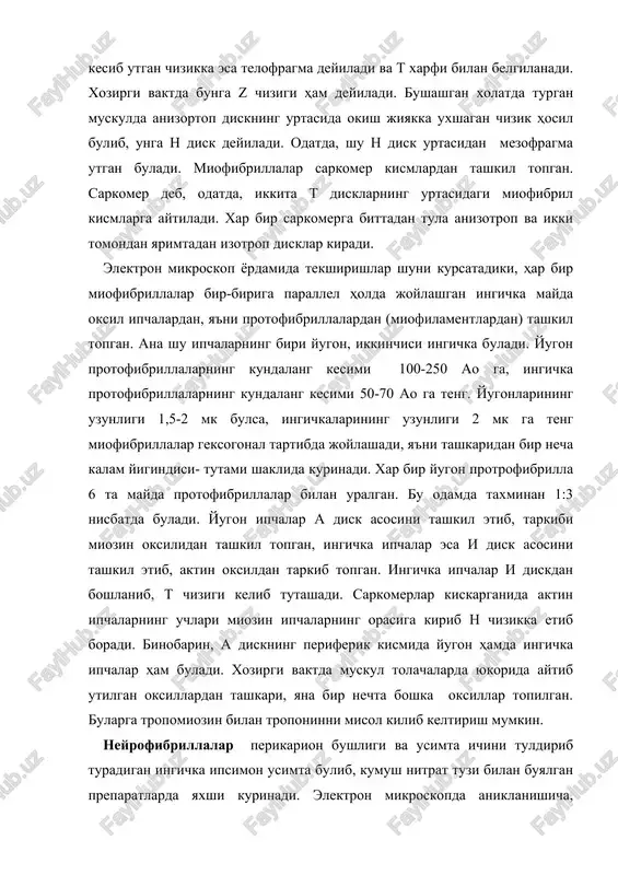 perikarion bushligi va usimta ichini tuldirib turadigan ingichka ipsimon usimta bulib, kumush nitrat tuzi bilan buyalgan preparatlarda yaxshi kurinadi. elektron mikroskopda aniklanishicha, neyrofibrillalar nerv hujayrasining uzunasi buylab joylashgan bulib, kundalang kesimining diametri 500 ao ga teng. xarakterli tomoni shundaki, neyrofibrillalar hujayraning tana kismida har tomonga yunalgan, nozik chigallangan tursimon shaklda joylashsa, usimtalarda bir-biriga nisbatan tugri, parallel joylashgan buladi. tigroid modda fakat neyron perikarioni va dentritda bulishi mumkin. ayrim hollarda zich joylashgan neyrofibrillalar tutami hosil kilgan shaklda kurinadi. ayrim vaktlarda esa tolachalar bir-biri bilan yopishgan bulishi mumkin, bu miyaning eslab kolish hususiyatiga, fikrlash kobiliyatiga salbiy ta'sir kiladi. keyingi vaktlarda elektronmikroskopda tekshirishlar shuni kursatadiki neyrofibrillalar tursimon shaklda joylashgan ikki xil mayda tolachalardan (fibrillalardan) tarkib topgan ekan. ulardan birinchisi diametri 60-100 ao ga teng neyroptofibrillalar yoki neyrofilamentlar bulsa, ikkinchisi-diametri 200-300 ao ga teng neyronaycha yoki neyrotubulalardir. bular kumush nitrat tuzi bilan buyalgan gistologik preparatlarda kushilib ketib, yugon miofibrillalarga uxshab kurinadi. tirik hujayralarda bu …