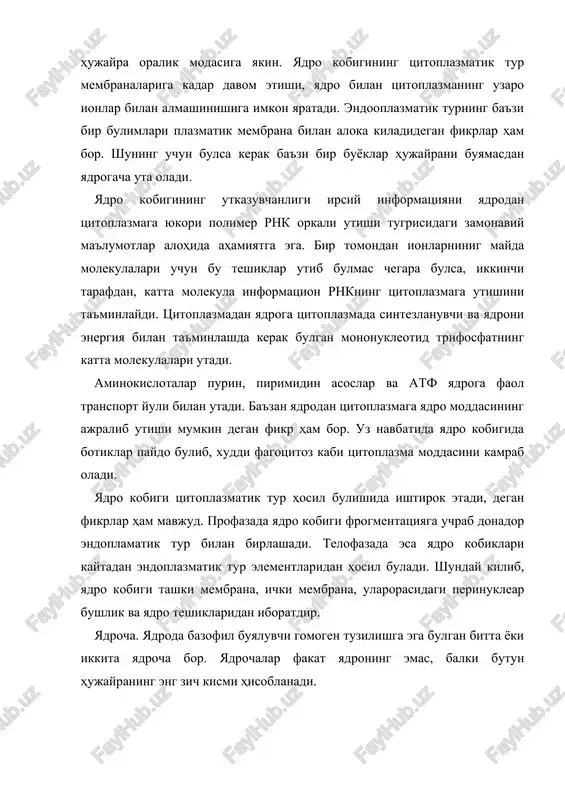 39 yilda aniklagan. rnk dan tashkari kup mikdorda fosfoproteidlar uchraydi. biokimyoviy usullar bilan yadrochadan dnk ajratib olingan. yadrochada yadrodagi dnk ning 6-17% joylashgan buladi. yadrochadagi dnk ribosomal rnk ning hosil bulishida muhim urin tutadi. yadrocha atrofidagi xromatin ayrim xromosomalarning yadrocha hosil kiluvchi kismida joylashgan buladi. yadrochada rnk ning kup bulishi uning oksil sintezi bilan boglangan. xujayrada oksil sintezi boshlanishidan oldin yadrochadagi rnk ning mikdori oshadi va yadrocha kattalashadi. yadrocha doimo bir xil struktura emas, u mitoz davrlarining boshlanishida tarkalib ketadi va telofazada yana kaytadan shakllanadi. xujayraning sintez davrida esa, rnk ni intensiv sintez kilinayotgan, yadrochada kattaligi va tuzilishi ribosomaga uxshash granulalar soni oshadi. yadrochalar ovogenez vaktida hatto bir nechtagacha hosil bulishi mumkin. yadrochaning soni xromosomaning ikilamchi belbogidagi yadrocha hosil kiluvchi joy mikdoriga va hujayra faoliyatiga boglik buladi. masalan,rivojlanayotgan tuxum hujayralarida (suyakli baliklar, amfibiyalarning ovotsitlaridagi sariklikning vujudga kelishida) yadrochalar mikdori bir necha marta kupayadi va bu jarayon tugaganidan keyin kaytadan kamayadi. …